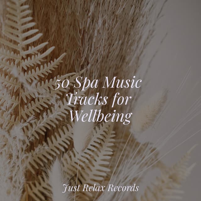 50 Spa Music Tracks for Wellbeing - Instrumental