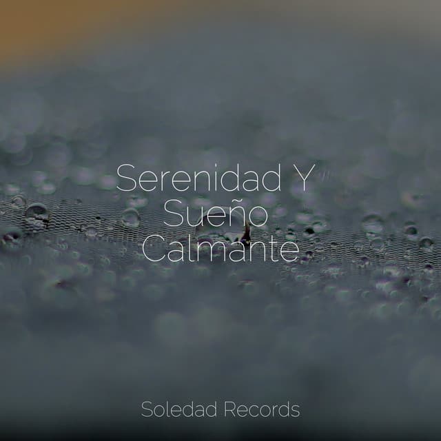 Serenidad Y Sueño Calmante - Relajación