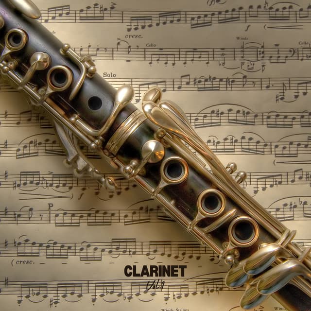 Clarinet vol.1 - Johannes Brahms