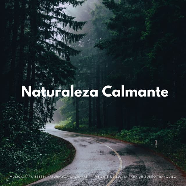 Música Para Bebés: Naturaleza Calmante Y Ambiente De Lluvia Para Un Sueño Tranquilo - Ricky sonido de lluvia