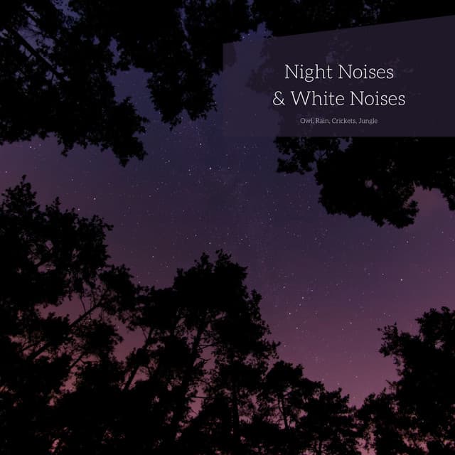 Night Noises & White Noises , Loopable - White Noise Atmospheres