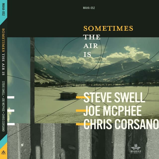 Steve Swell