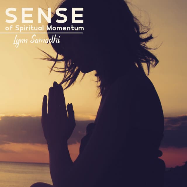 Sense of Spiritual Momentum - Lynn Samadhi