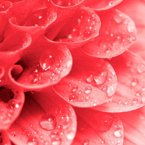 Fantastic Ambiance for Easy Summers - Jazzy VIbes for Study Time