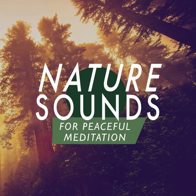Nature Sounds for Peaceful Meditation - Nature Sounds Radio