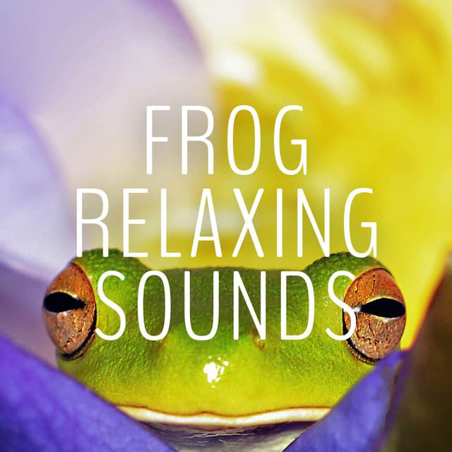 Frog Relaxing Sounds - Frog Sounds