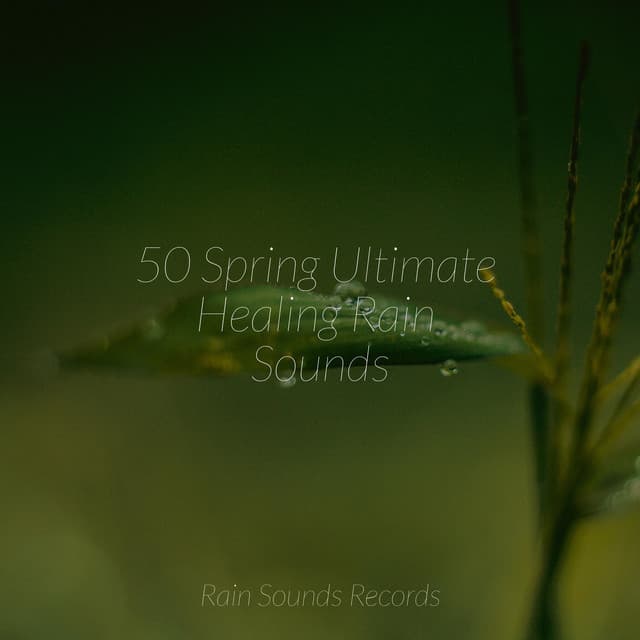 50 Spring Ultimate Healing Rain Sounds - Relaxed Minds
