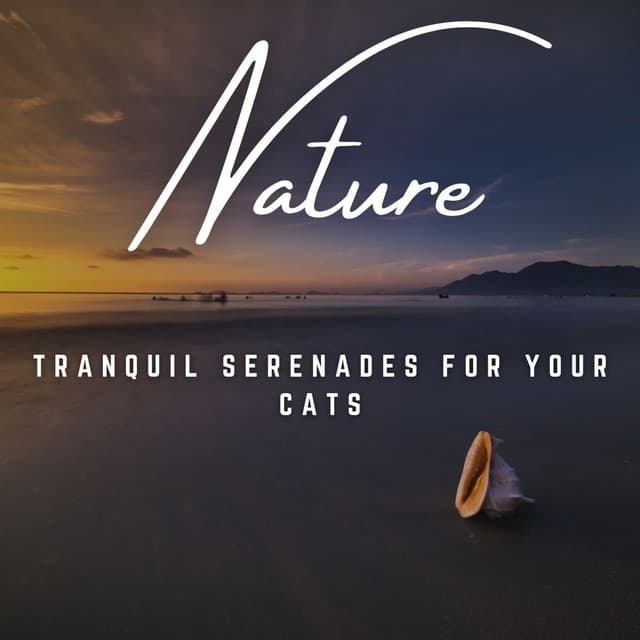 Cat's Musical Oasis: Melodic Moments - Music for Calming Dogs