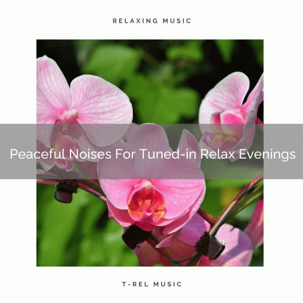 Peaceful Noises For Tuned-in Relax Evenings - White Noise Sleep Therapy