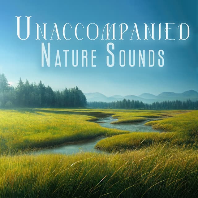 Unaccompanied Nature Sounds: Relaxing Natural Ambience, Peaceful Nature Noises, Calm Music Collection - Harmony Nature Sounds Academy