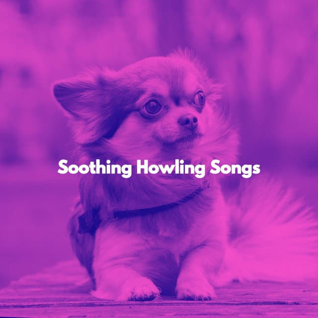 Soothing Howling Songs - Musica Relajante para Perros Momentos
