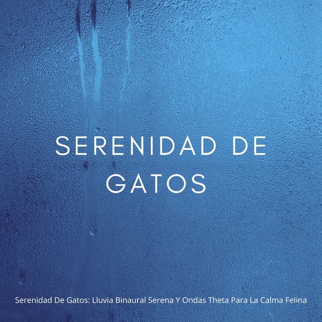 Serenidad De Gatos: Lluvia Binaural Serena Y Ondas Theta Para La Calma Felina - Sonidos de Lluvia 24H