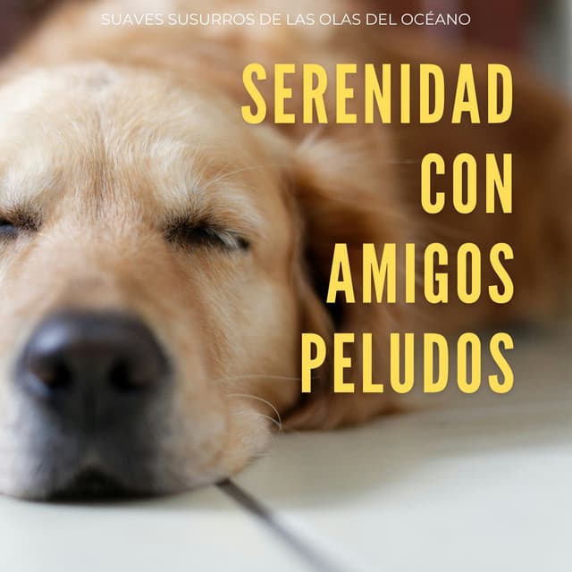 Serenidad Con Amigos Peludos: Suaves Susurros De Las Olas Del Océano - Ruidos de la Naturaleza