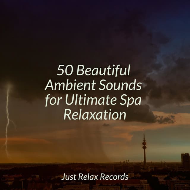 50 Beautiful Ambient Sounds for Ultimate Spa Relaxation - Meditar Profundamente