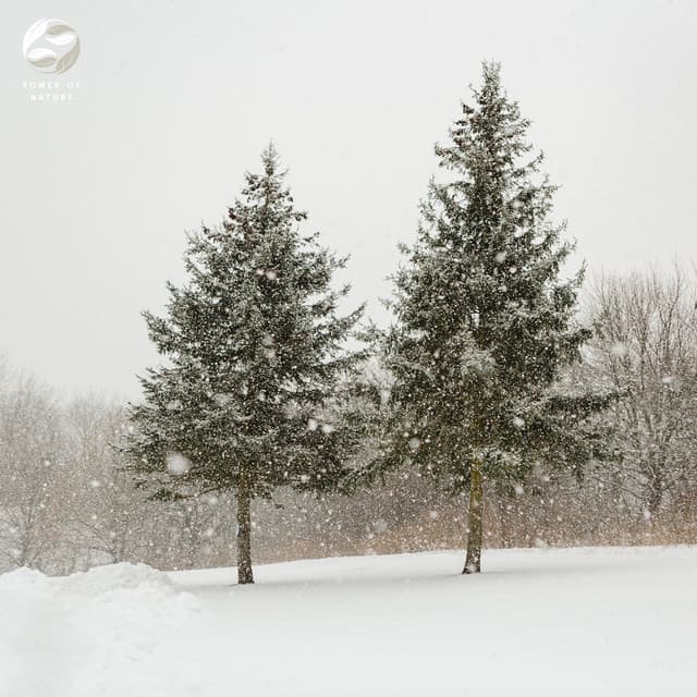 Echoes Of Piano Amidst Nature - Mother Nature Ambience