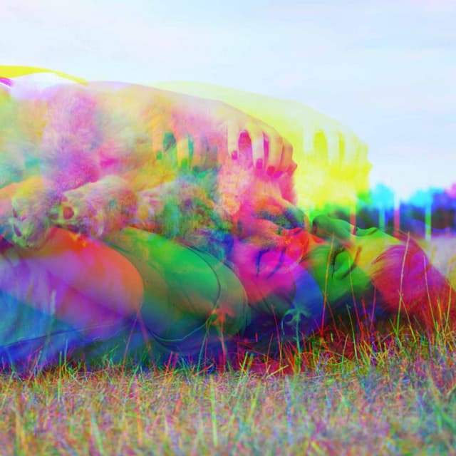 Spectacular Bgm for Doggy Afternoon Rest - Puppy Music