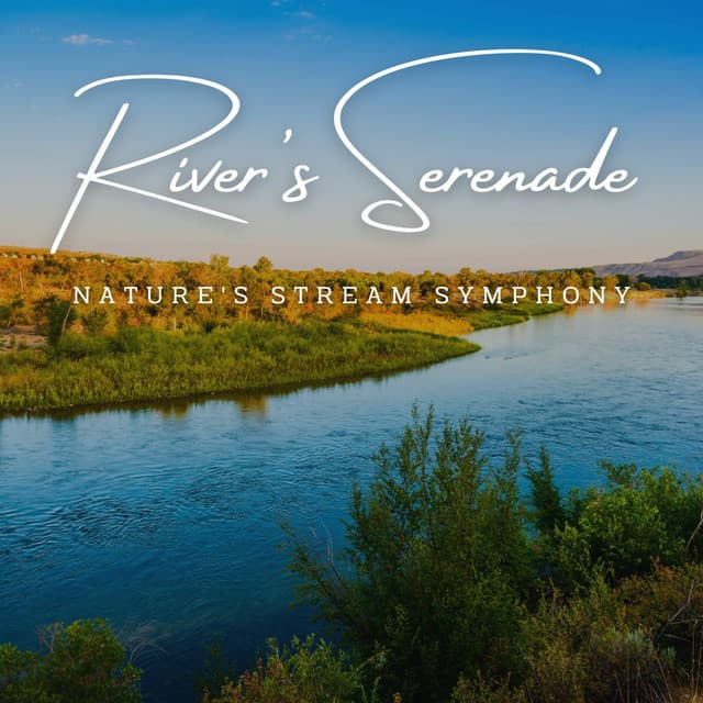 River's Serenade: Nature's Stream Symphony - Calming Water