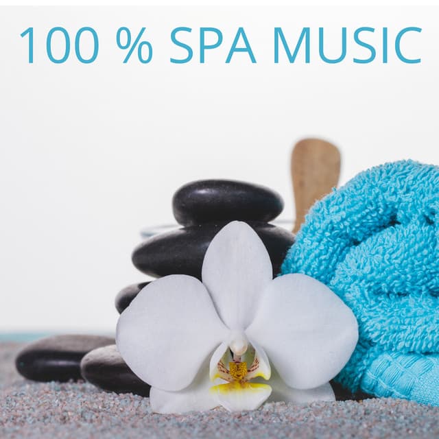 100% Spa Music - Wellness