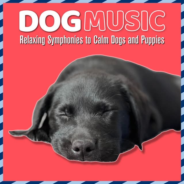 Dog Music: Relaxing Symphonies to Calm Dogs and Puppies - Dog Music