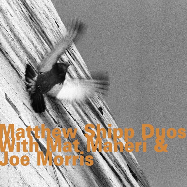 Matthew Shipp Duos with Mat Maneri & Joe Morris - Matthew Shipp