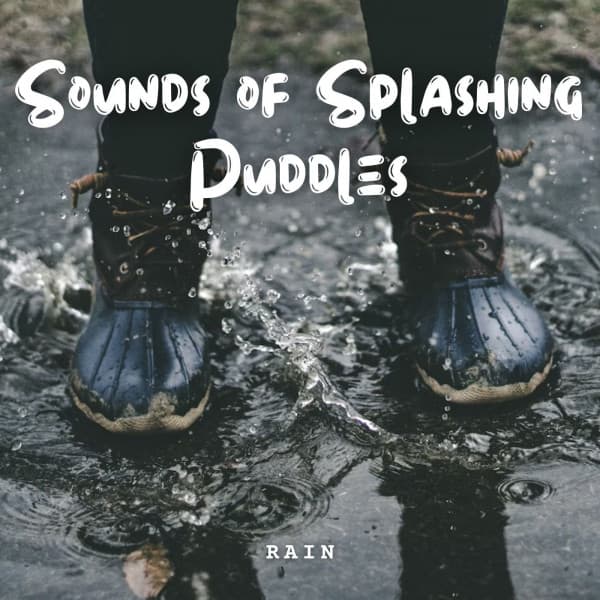 Rain: Sounds of Splashing Puddles - Rain Hive