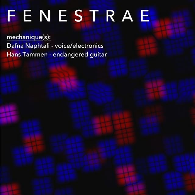 Fenestrae - Dafna Naphtali