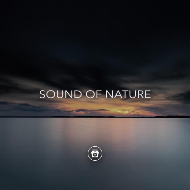 Sound Of Nature - Rainforest Sounds