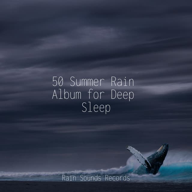 50 Summer Rain Album for Deep Sleep - Rain For Deep Sleep