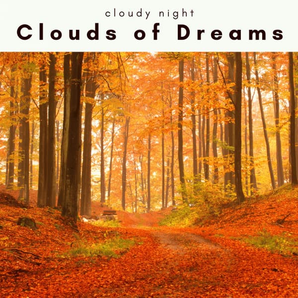2 0 2 2: Clouds of Dreams - cloudy night