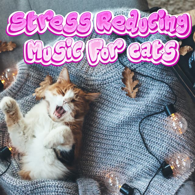 Deep Soothing Music For Anxious Ill And Stressed Cats