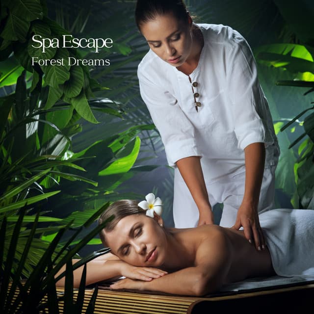 Spa Brainwave Entrainment