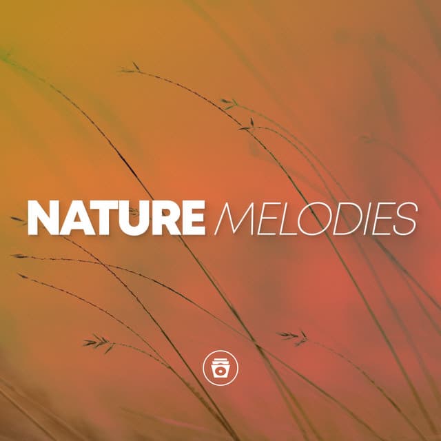 Nature Melodies - Heavy Rain Sounds