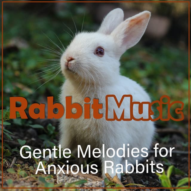 Music For Pets