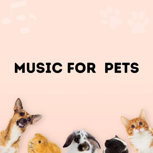 Music For Pets - Relaxing Piano For Pets