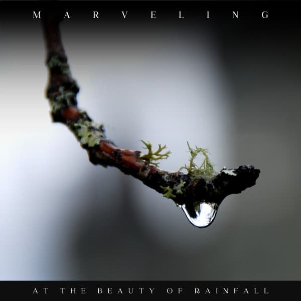 Marveling at the Beauty of Rainfall - Pro Sound Effects Library