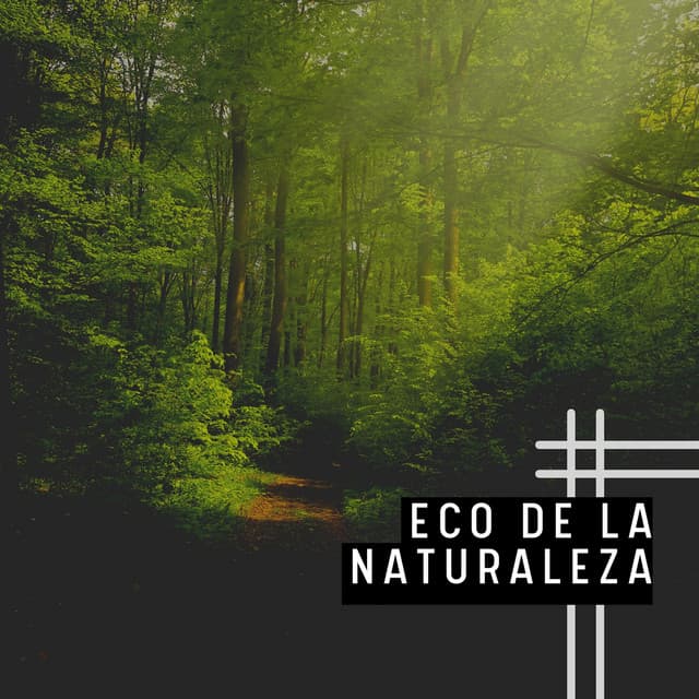 Eco de la Naturaleza - Música Yoga