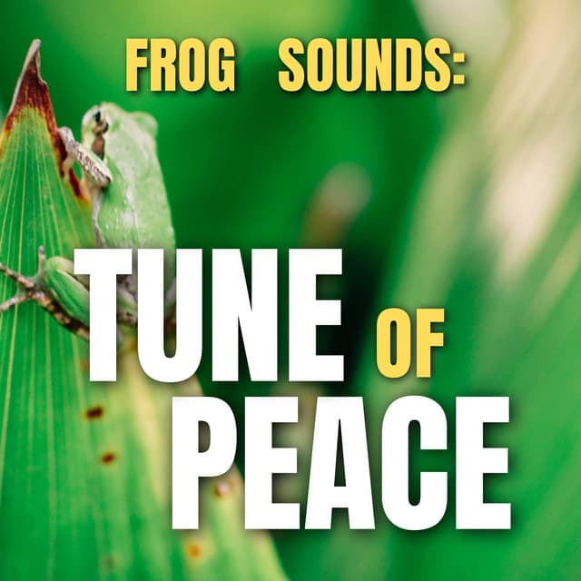 Frog Sounds: Tune of Peace - Frog Sounds