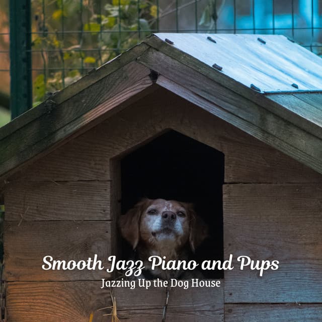 Smooth Jazz Piano and Pups: Jazzing Up the Dog House - Happy Hour Jazz