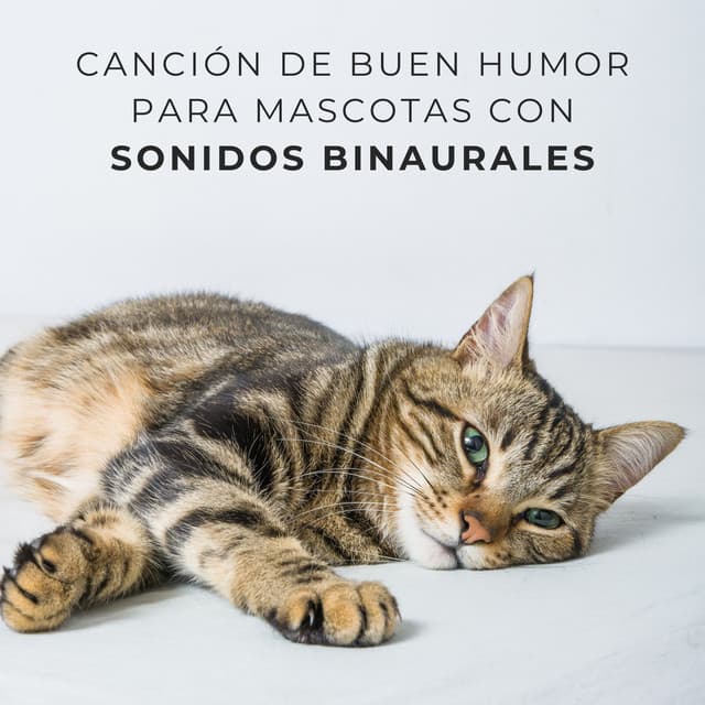 Canción De Buen Humor Para Mascotas Con Sonidos Binaurales - Chico binaural