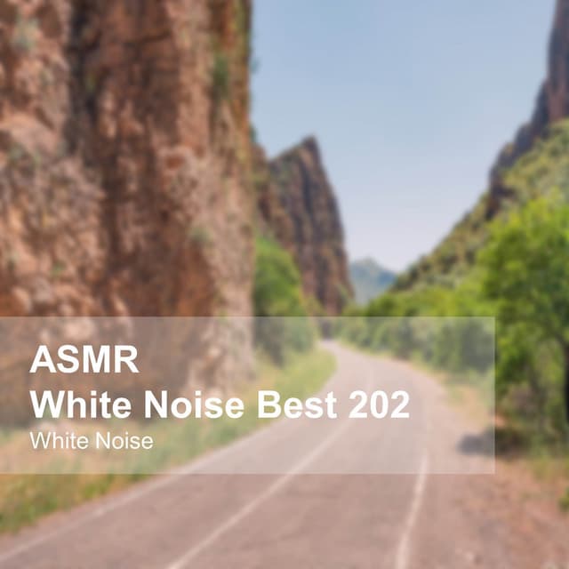 White Noise ASMR Best 202 - White Noise