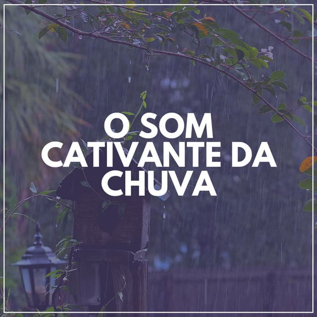 O Som Cativante da Chuva - Chuva Dormir