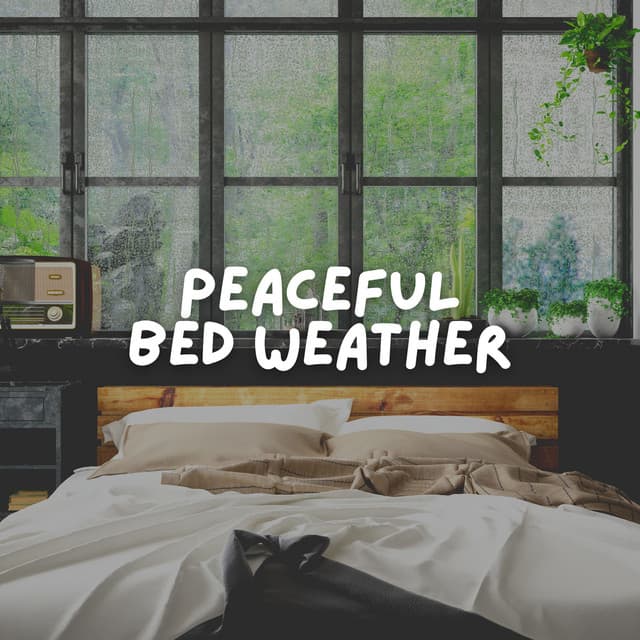 Peaceful Bed Weather - Lightning, Thunder and Rain Storm