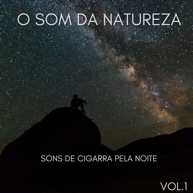 O Som Da Natureza: Sons De Cigarra Pela Noite Vol.1 - Musica de Piano Clásicos