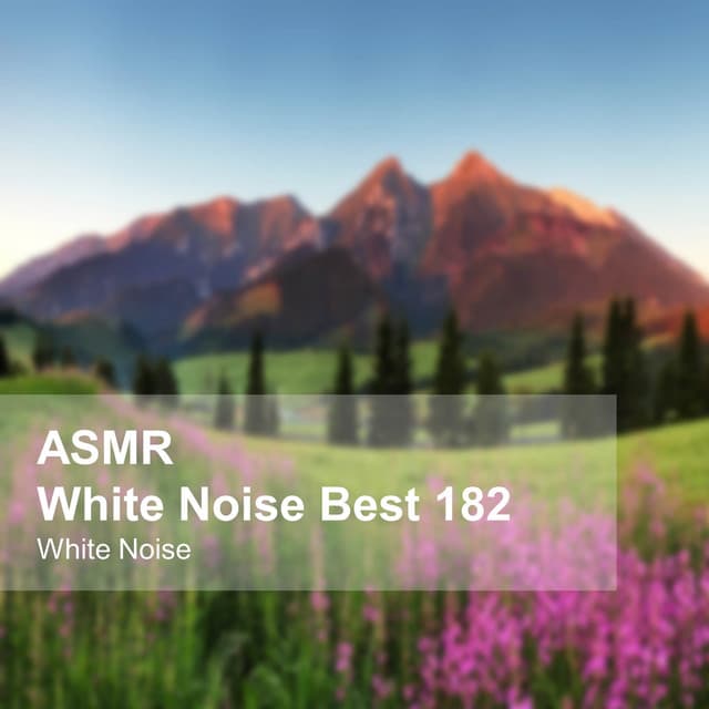 White Noise ASMR Best 182 - White Noise