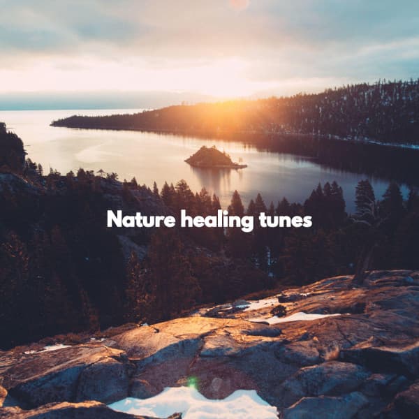 Nature healing tunes - Summer Jazz Relax