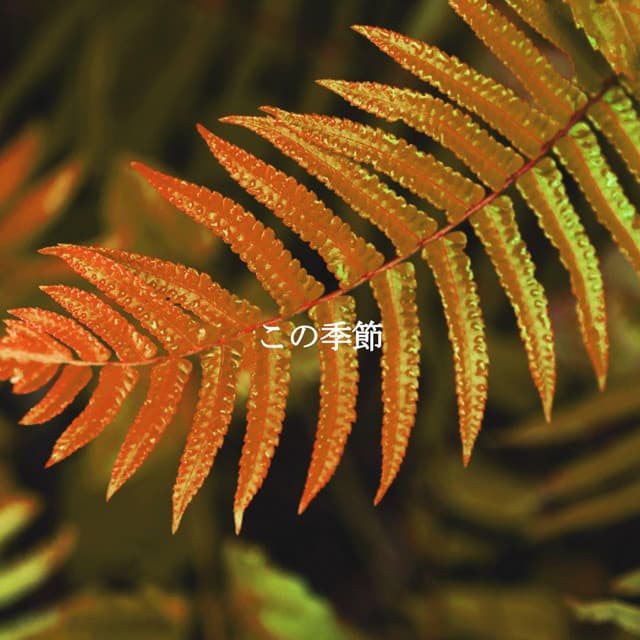 この季節 - Cafe Jazz Relax