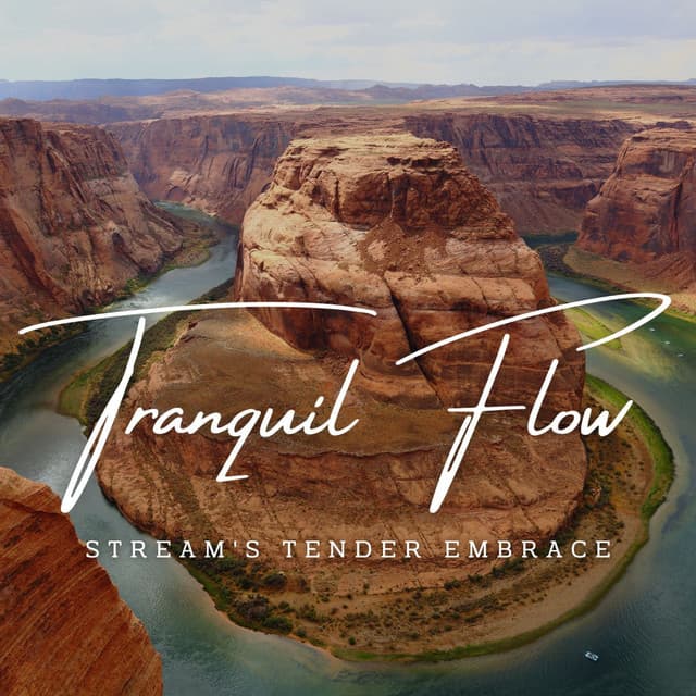 Water's Tranquil Flow: Stream Meditations - Ultimate Waterflow