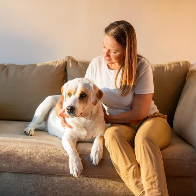 Armonía De Mascotas: Música Suave Para Compañeros - Paraíso Secreto