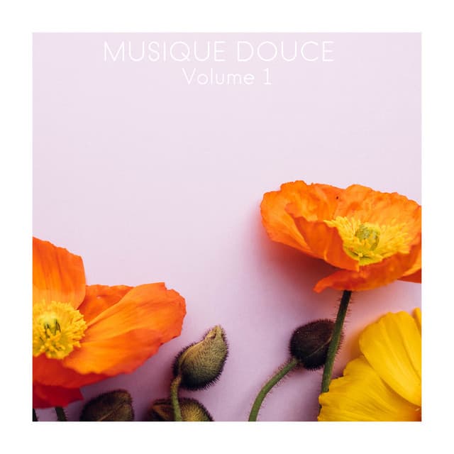 Musique Douce, Vol. 1 - Musique Zen Garden