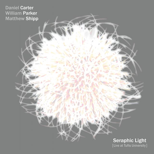 Seraphic Light - Daniel Carter